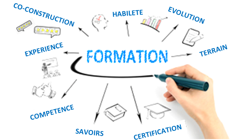 Expérience professionnelle